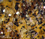 Griechenland Lavrion Mineralien Plaka Calcit