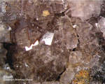 Griechenland Lavrion Mineralien Plaka Fluorit
