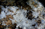 Griechenland Lavrion Mineralien Plaka Pharmokolith