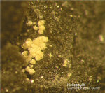 Griechenland Lavrion Mineralien Passa Limani Heliophyllit