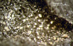 Griechenland Lavrion Mineralien Passa Limani Heliophyllit