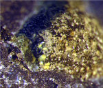 Griechenland Lavrion Mineralien Passa Limani Heliophyllit