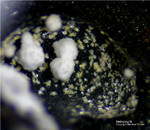 Griechenland Lavrion Mineralien Passa Limani Heliophyllit