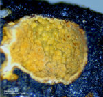 Griechenland Lavrion Mineralien Passa Limani Hemimorphit