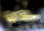 Griechenland Lavrion Mineralien Passa Limani Hydrocerussit