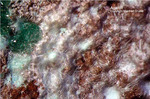Griechenland Lavrion Mineralien Serpieri Agardit