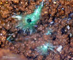 Griechenland Lavrion Mineralien Serpieri Agardit