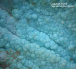 Griechenland Lavrion Mineralien Serpieri Glaukokerinit