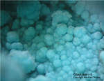 Griechenland Lavrion Mineralien Serpieri Glaukokerinit
