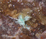 Odenwald Mineralien Reichenbach Borstein Agardit
