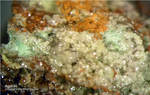 Odenwald Mineralien Reichenbach Borstein Agardit
