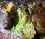 Odenwald Mineralien Reichenbach Borstein Agardit