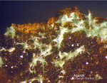 Odenwald Mineralien Reichenbach Borstein Agardit