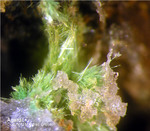 Odenwald Mineralien Reichenbach Borstein Agardit