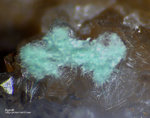 Odenwald Mineralien Reichenbach Borstein Agardit