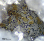 Odenwald Mineralien Reichenbach Borstein Beudantit