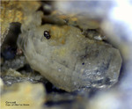 Odenwald Mineralien Reichenbach Borstein Cerussit