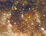 Odenwald Mineralien Reichenbach Borstein Gartrellit