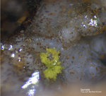 Odenwald Mineralien Reichenbach Borstein Gartrellit