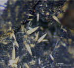 Mineralien Bayern Grube Leonie Crandallit