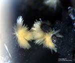 Mineralien Bayern Grube Leonie Churchit-(Y)