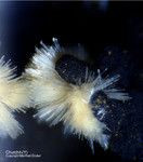 Mineralien Bayern Grube Leonie Churchit-(Y)