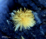Mineralien Bayern Grube Leonie Churchit-(Y)