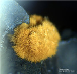 Mineralien Bayern Grube Leonie Churchit-(Y)