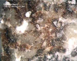 Eifel Mineralien Bellerberg Brownmillerit