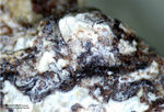 Eifel Mineralien Bellerberg Brownmillerit