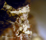Eifel Mineralien Bellerberg Jarosit