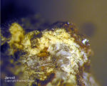 Eifel Mineralien Bellerberg Jarosit