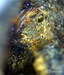 Eifel Mineralien Bellerberg Jarosit