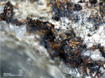 Eifel Mineralien Bellerberg Markasit