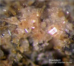Eifel Mineralien Bellerberg Roedderit