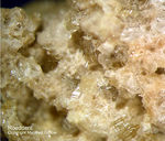 Eifel Mineralien Bellerberg Roedderit