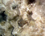 Eifel Mineralien Bellerberg Roedderit