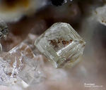 Eifel Mineralien Bellerberg Roedderit
