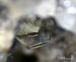 Eifel Mineralien Bellerberg Roedderit