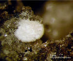 Mineralien Eifel Bellerberg Topas