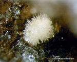 Mineralien Eifel Bellerberg Topas