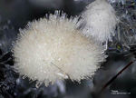 Mineralien Eifel Bellerberg Topas