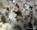 Eifel Mineralien Bellerberg Tridymit