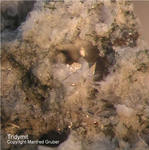 Eifel Mineralien Bellerberg Tridymit