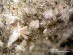 Eifel Mineralien Bellerberg Tridymit
