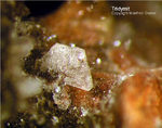 Eifel Mineralien Bellerberg Tridymit
