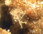 Eifel Mineralien Bellerberg Tridymit