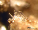 Eifel Mineralien Bellerberg Tridymit