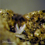 Eifel Mineralien Bellerberg Tridymit