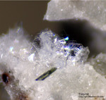 Eifel Mineralien Bellerberg Tridymit
